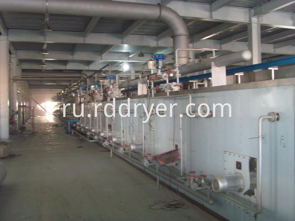 Conveyor mesh belt drier